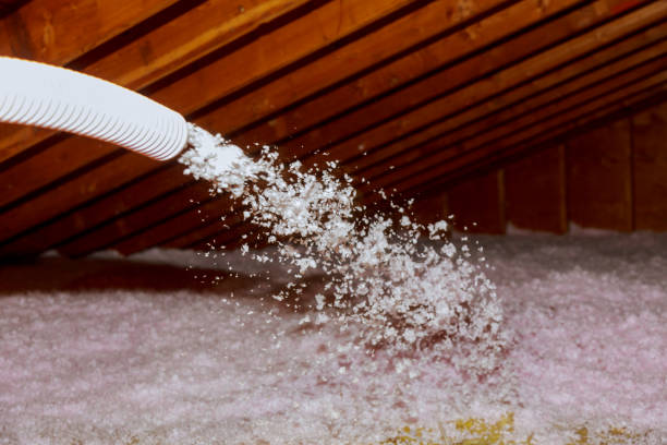 Insulation Repair Services in Tatum, TX