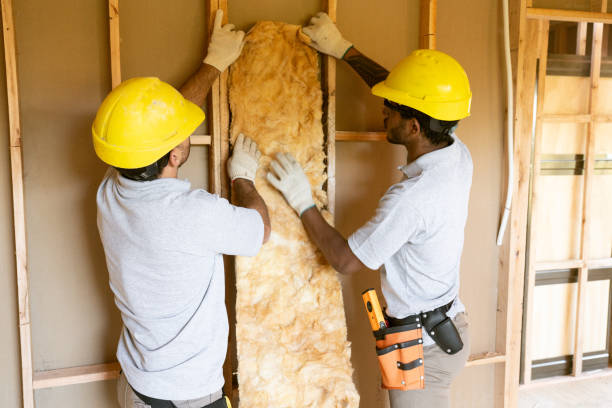 Best Blown-in Insulation  in Tatum, TX