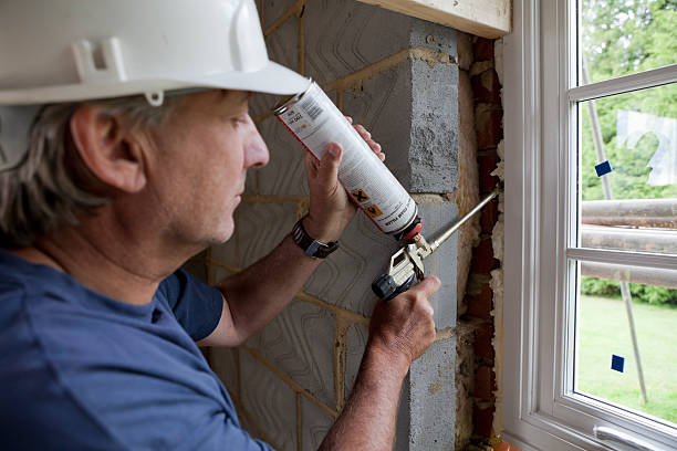 Best Cellulose Insulation  in Tatum, TX