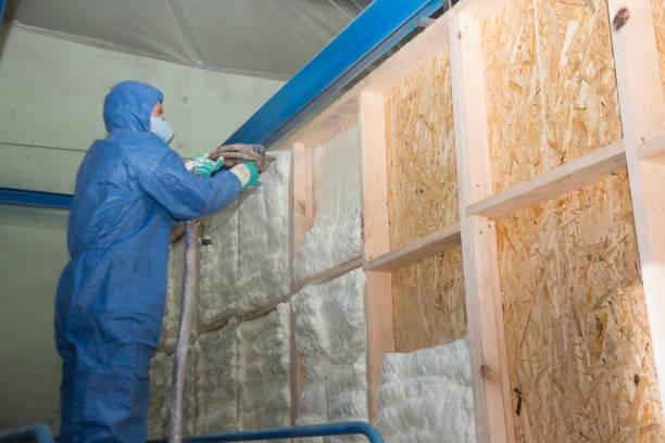 Best Insulation for New Construction  in Tatum, TX